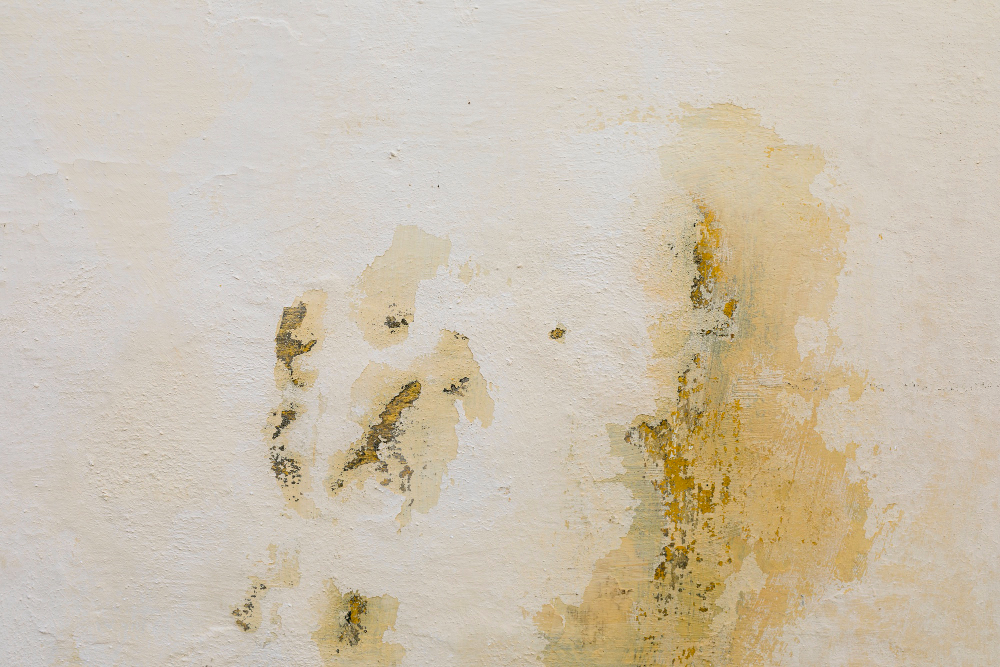 Interior wall with peeling paint and cracks